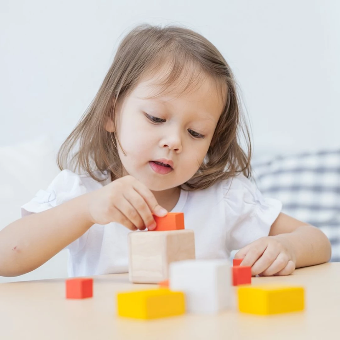 Plan Toys Fraction Cubes - PT 5369 PLAY