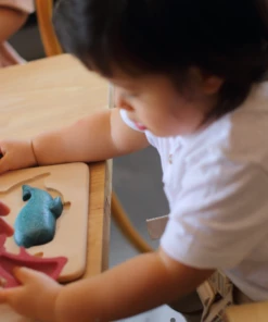 Plan Toys Puzzle - Sea Life - PT 4643