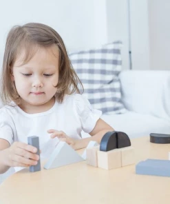 Plan Toys Fraction Blocks - PT 5371 PLAY