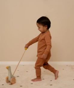 Little Dutch Push-along Little Goose PLAY