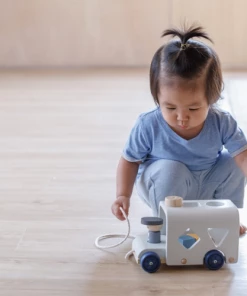 Plan Toys Sorting Bus - Orchard - PT 5401