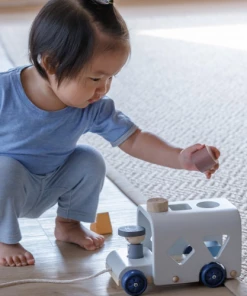 Plan Toys Sorting Bus - Orchard - PT 5401