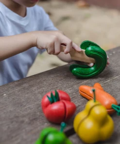 Plan Toys Wonky Fruits & Vegetables - PT 3495 PLAY