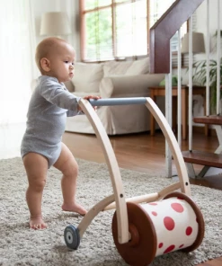 Plan Toys Roll & Walk - PT 5188