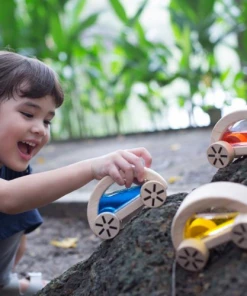 Plan Toys Wautomobile - PT 5449 PLAY