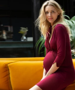 Cache Coeur Maternity And Nursing Nightgown - Milk - Burgundy MATERNITY & PARENTS