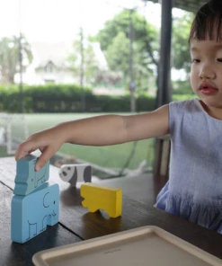 Plan Toys 4644 Animal Puzzle Game