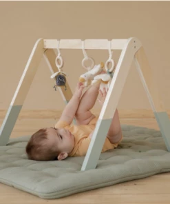 Little Dutch Baby Gym - Little Goose - LD