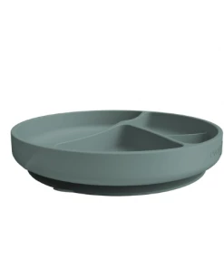 Everyday Baby Silicone Suction Plate