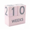 Pearhead MATERNITY & PARENTS Wooden Age Blocks - Pink