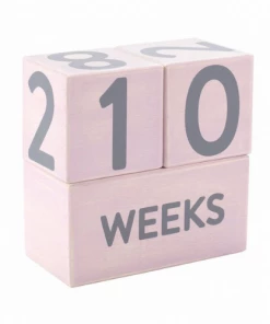 Pearhead MATERNITY & PARENTS Wooden Age Blocks - Pink