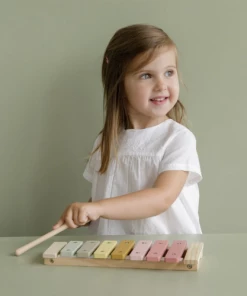 Little Dutch Xylophone Pink - LD7016