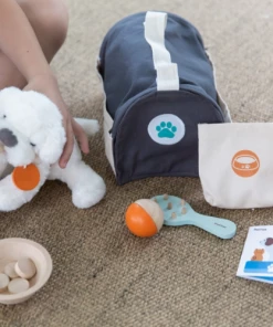 Plan Toys PLAY Pet Care Set - PT 3491