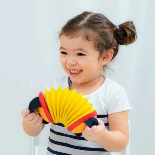 Plan Toys Concertina - PT 6401