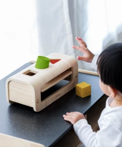 Plan Toys Shape & Sort Educational Play - PT 5398