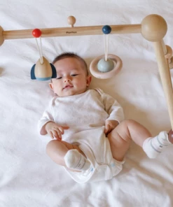 Plan Toys Play Gym - Orchard - PT 5270