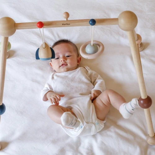 Plan Toys Play Gym - Orchard - PT 5270