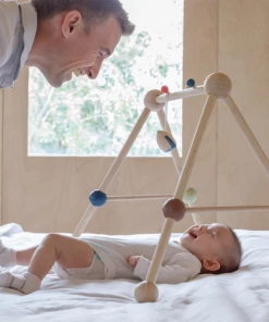 Plan Toys Play Gym - Orchard - PT 5270