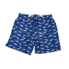 James Cromwell Navy Bold Fish Boys SUMMER TIME