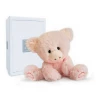 Histoire D'Ours SALE Pig