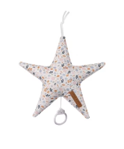 Little Dutch Star Shaped Music Box - Spring Flowers - LD